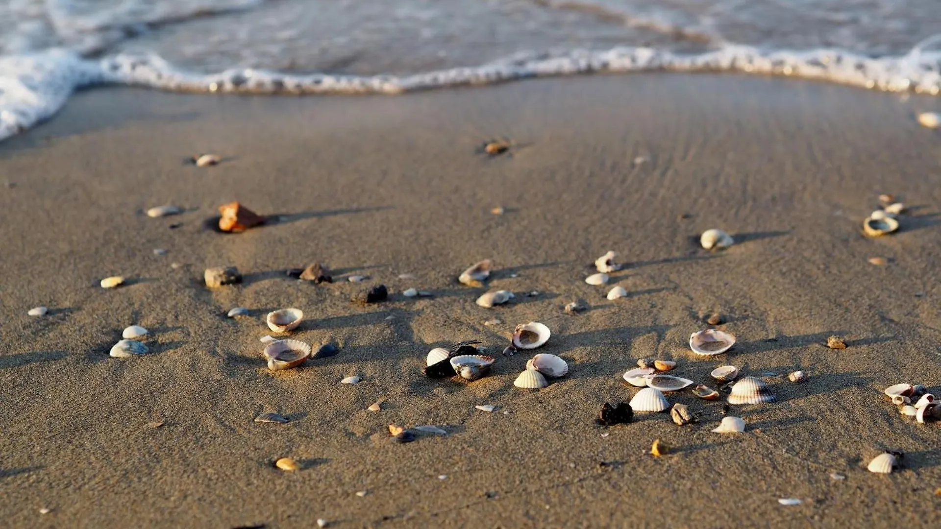 Daire Bright Fllat Near The Beach In Bibione İtalya